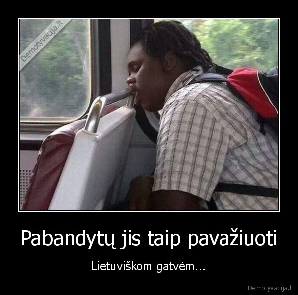 liktu, be, dantu,juodaodis,vaziuoja, autobusu,krato, autobuse