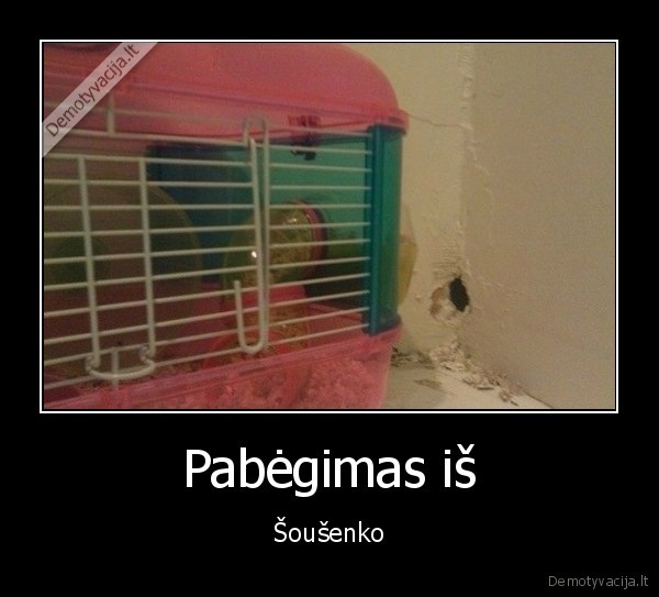 ziurkensa, pragrauze, siena, pabego, sausenko, pabegimas