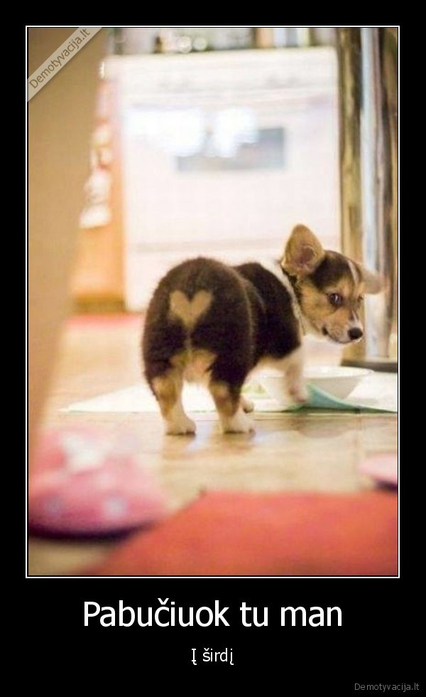 sirdele,suo,uzpakalis