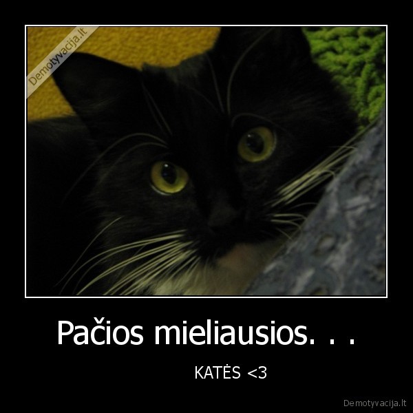 mano, kate, mona, 