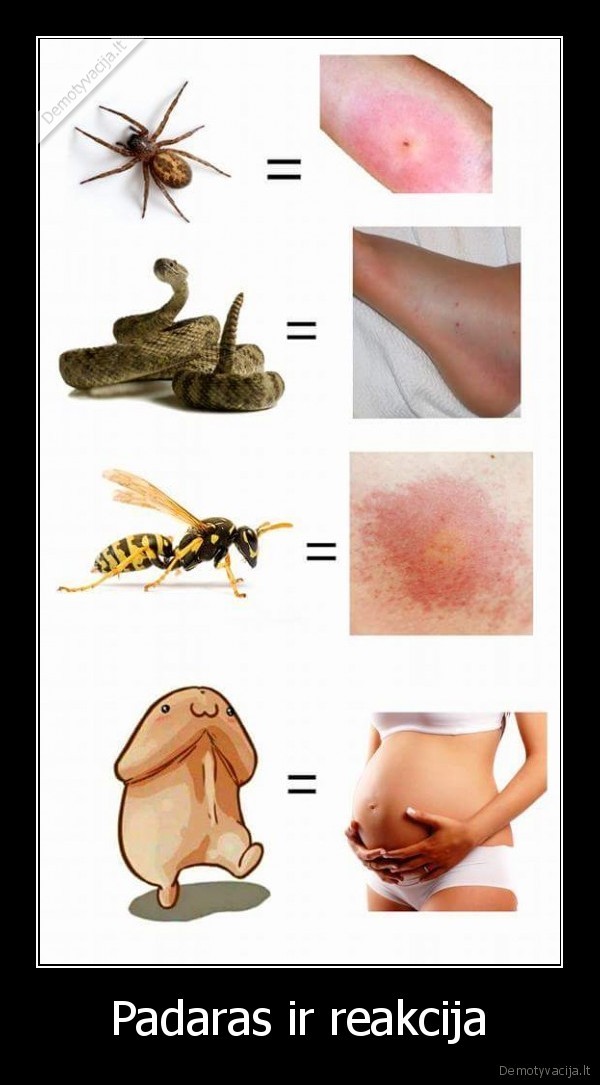 padaras,reakcija,ikando,igele