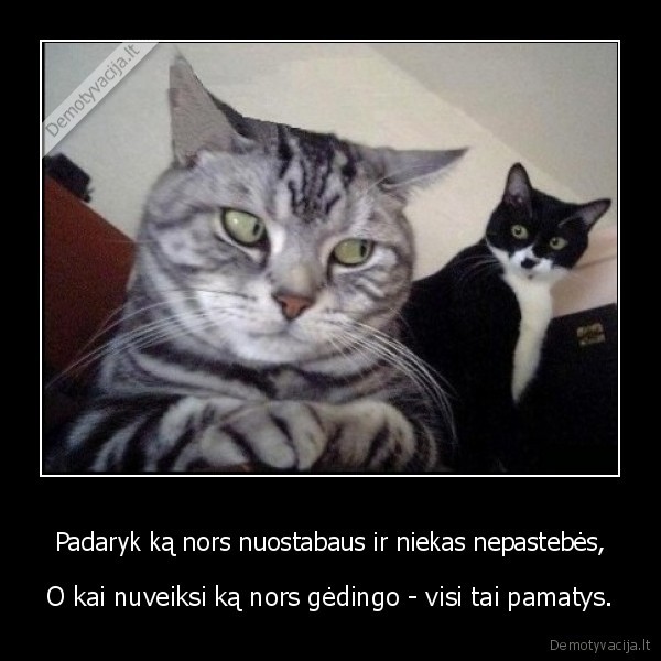 Padaryk ką nors nuostabaus ir niekas nepastebės,