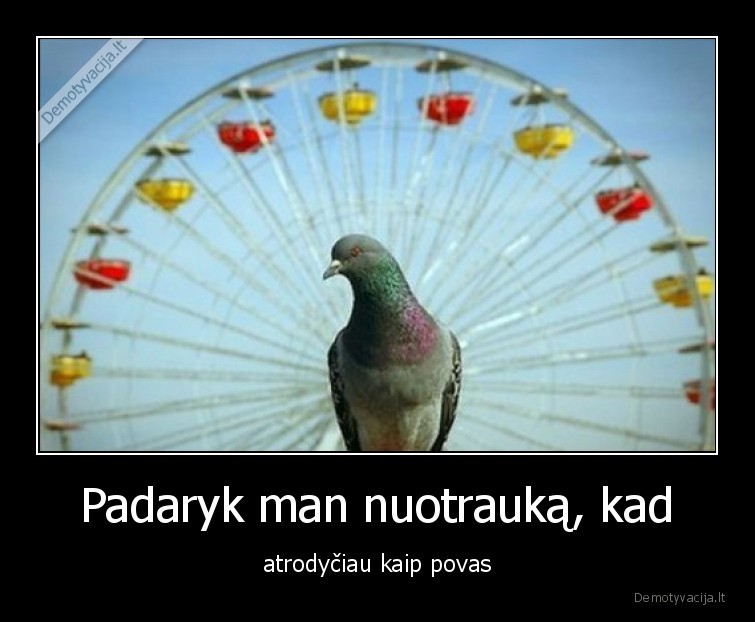 povas,balandis,nuotrauka,karusele