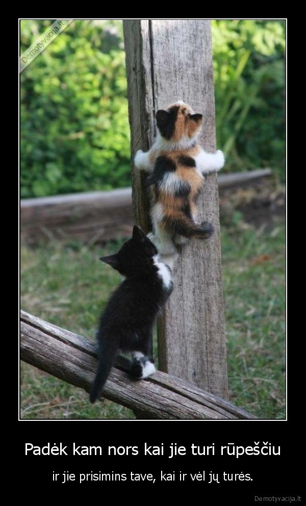 Padėk kam nors kai jie turi rūpeščiu