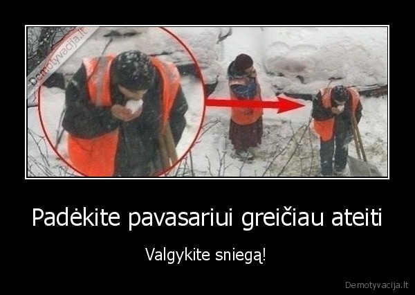 sniegas,valgyti,pavasaris