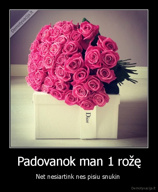 Padovanok man 1 rožę