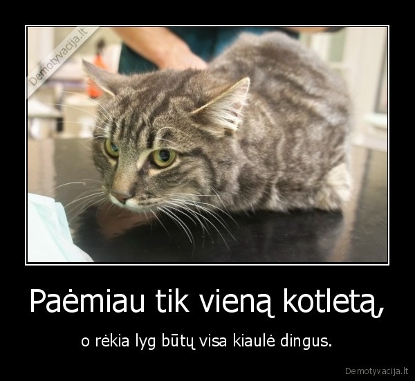 Paėmiau tik vieną kotletą,