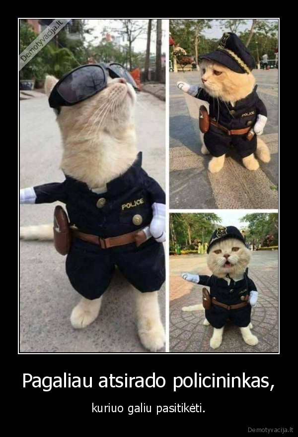 kate,katinas,policininkas