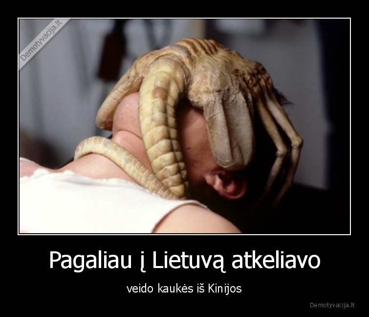 kaukes,kinija,karantinas