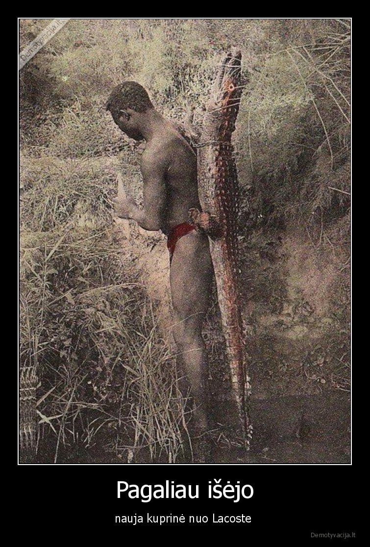 kuprine,lacoste,krokodilas