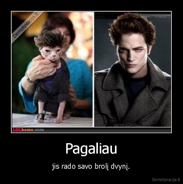 twilight, kate, durniai