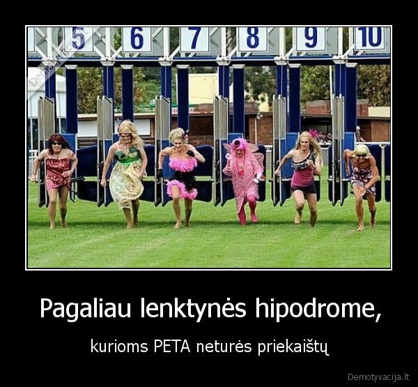 hipodromas,peta,lenktynes,moteru, lenktynes,zirgu, lenktynes