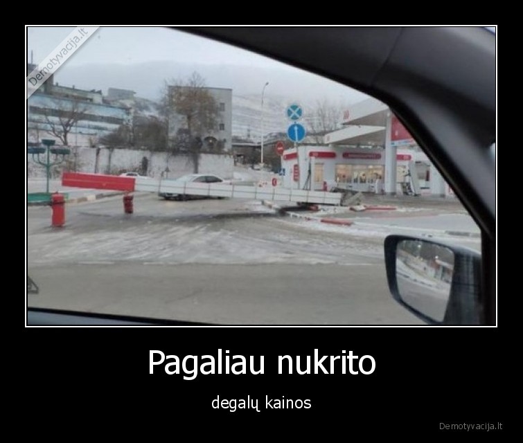 degalai,kainos,nukrito