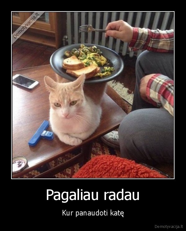 kate,katinas,staliukas