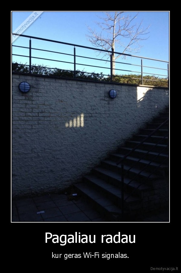 wi, fi,kiemas,parkas