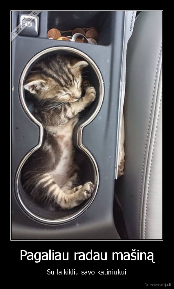 katinas,kaciukas,puodeliu, laikiklis