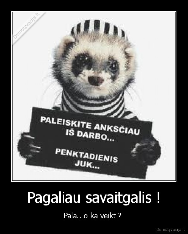 Pagaliau savaitgalis !