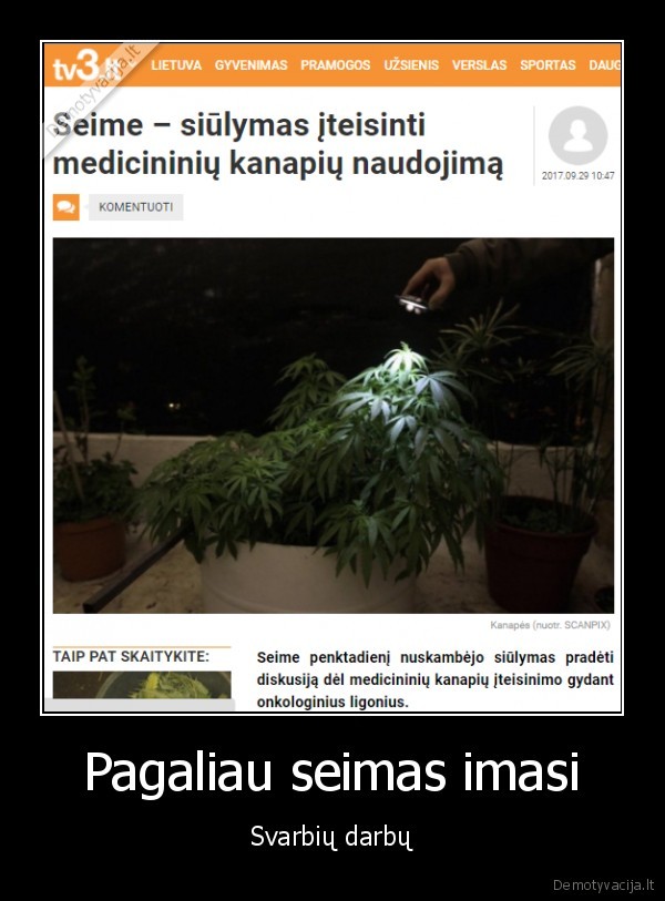 medicinines, kanapes
