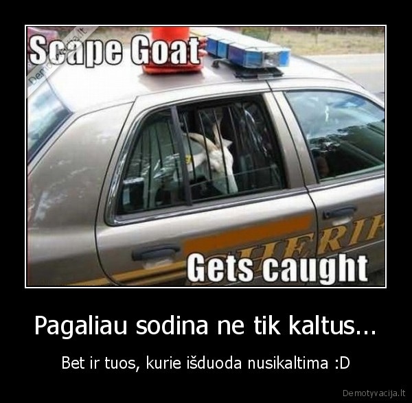 Pagaliau sodina ne tik kaltus...