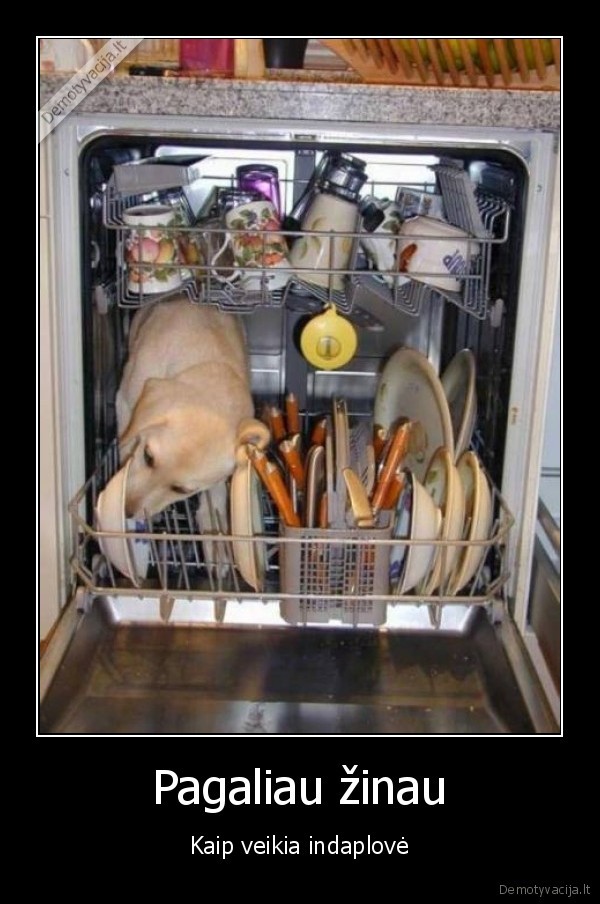 suo, plauna, indus,indaploves, veikimas