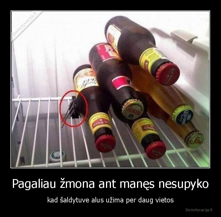 alus,saldytuve,zmona,nesupyko,vietos, taupymas