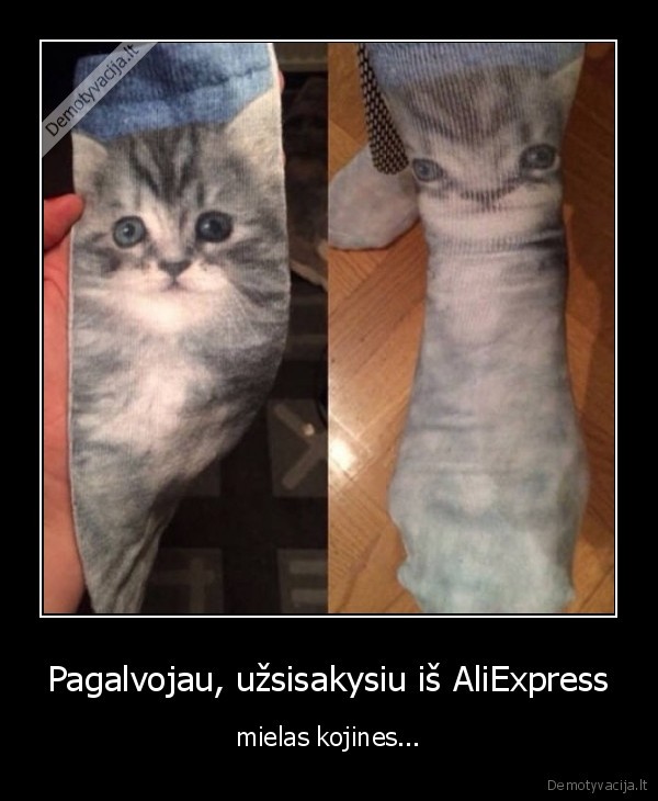 kojines,kinija,ali, express,siurpus, katinas