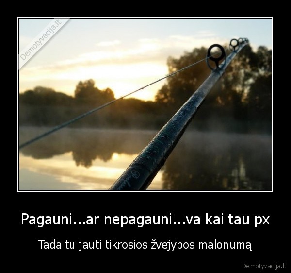 Pagauni...ar nepagauni...va kai tau px