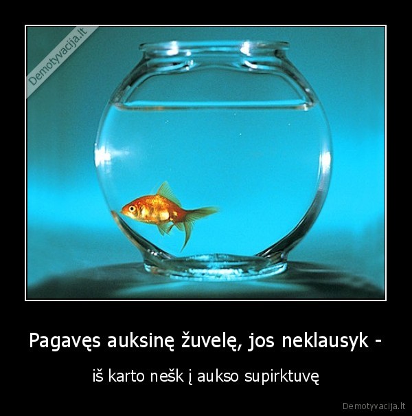 auksine, zuvele,auksas