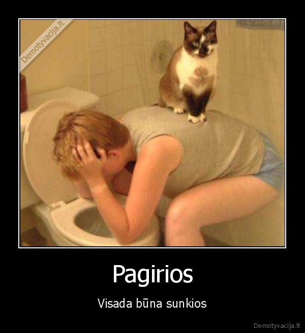 sunku, katinui, su, tokiu, seimininku