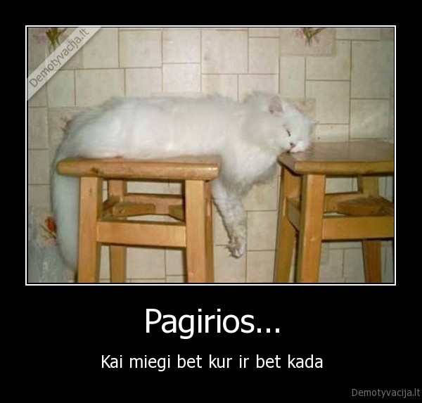 pagirios, gyvunai, miela, grazu