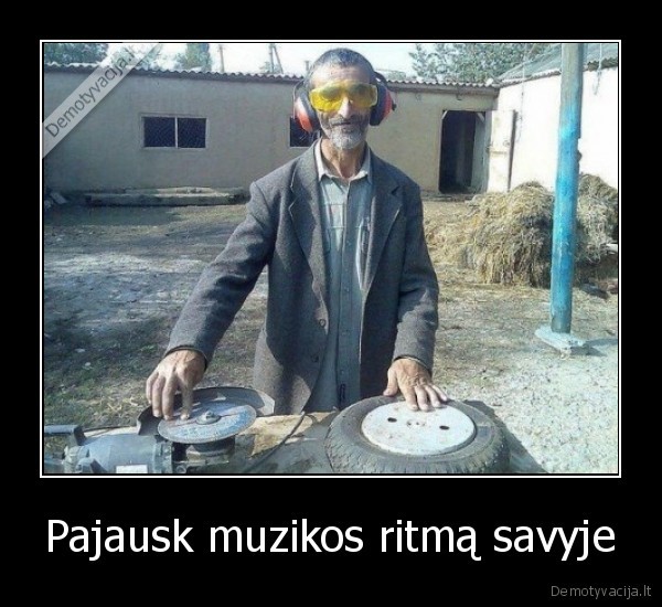 kitchen, kuchnia, nikodemas, danguolius, fredis, morka