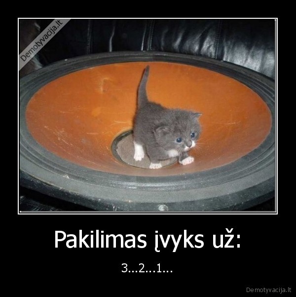 Pakilimas įvyks už: