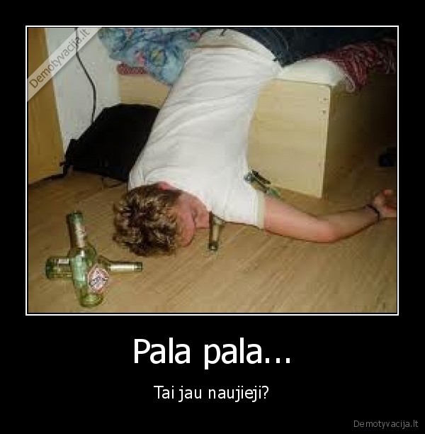 naujieji,metai,girtas,bicas