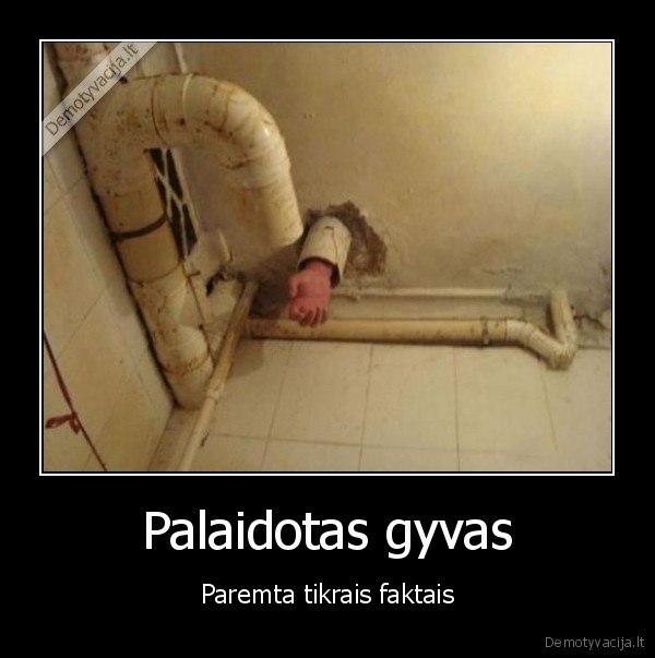 filmas, palaidotas, gyvas