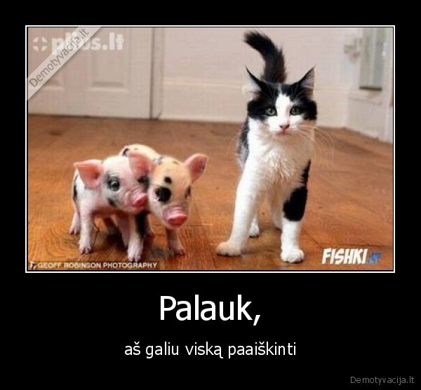 Palauk,