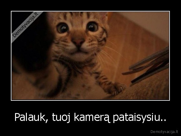 Palauk, tuoj kamerą pataisysiu..