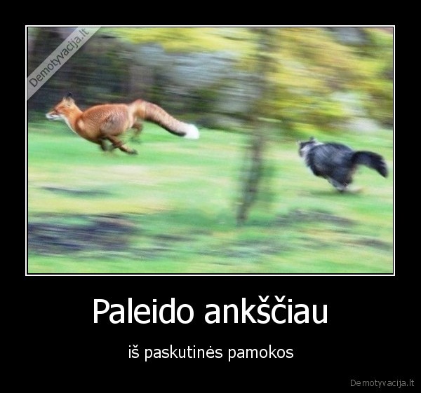 paleido,pamokos,namo,skubeti