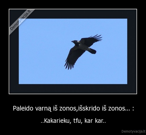 Paleido varną iš zonos,išskrido iš zonos... :