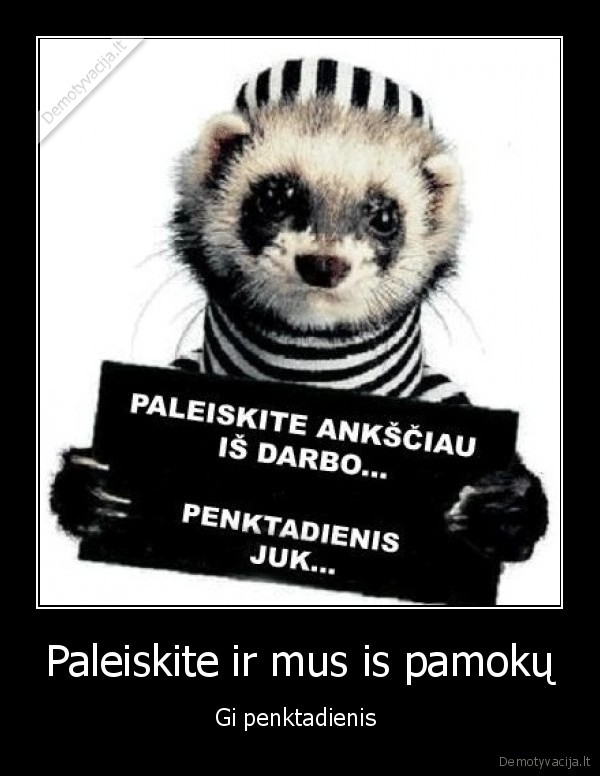 Paleiskite ir mus is pamokų