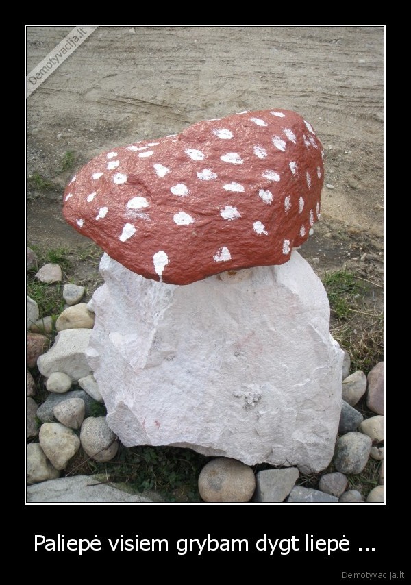 Paliepė visiem grybam dygt liepė ...