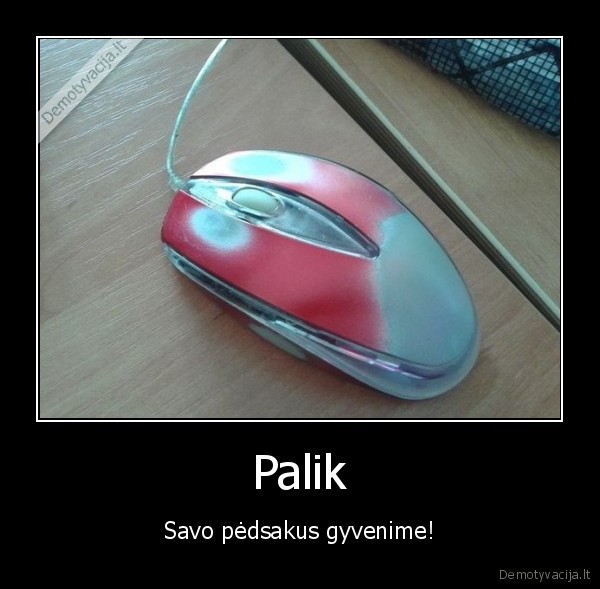 palikti,zymes,pedsakai