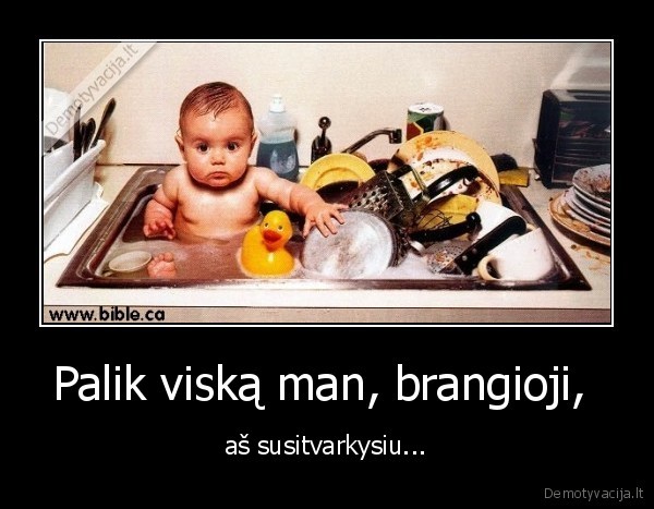 vienas,vyras,namuose,katastrofa