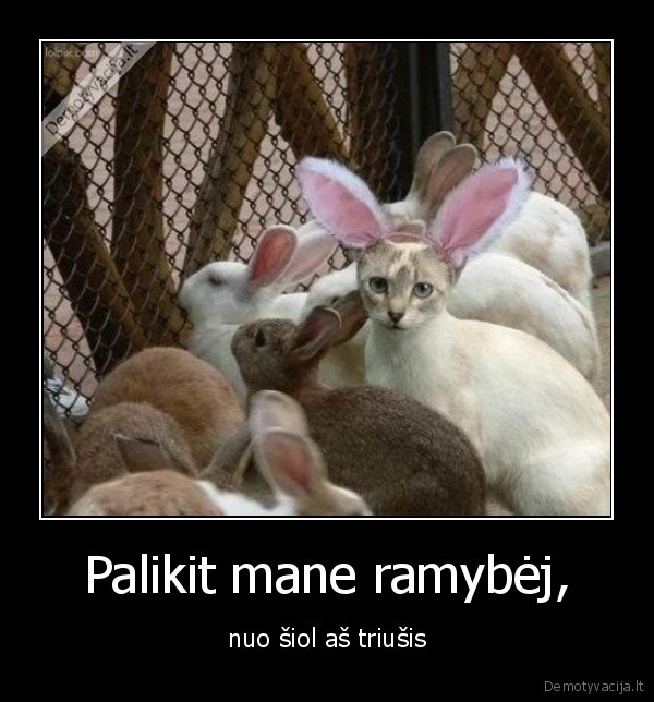 Palikit mane ramybėj,