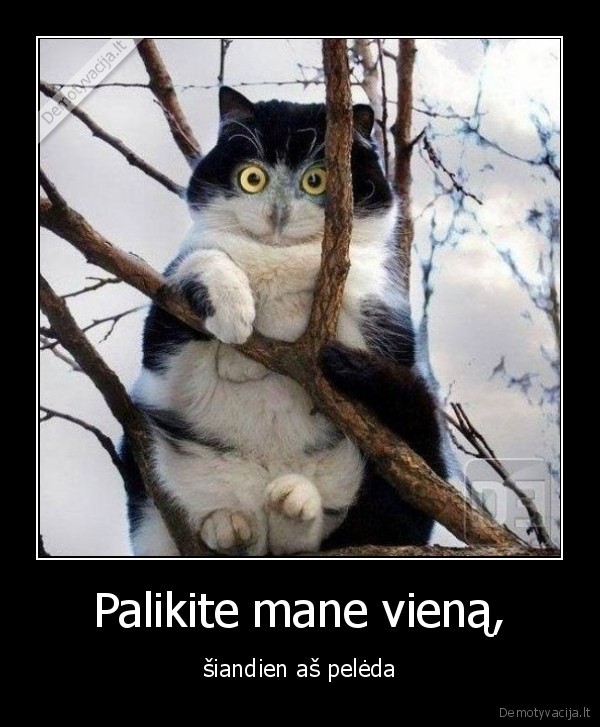 Palikite mane vieną,