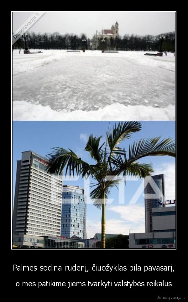 palmes,ciuozykla,politika