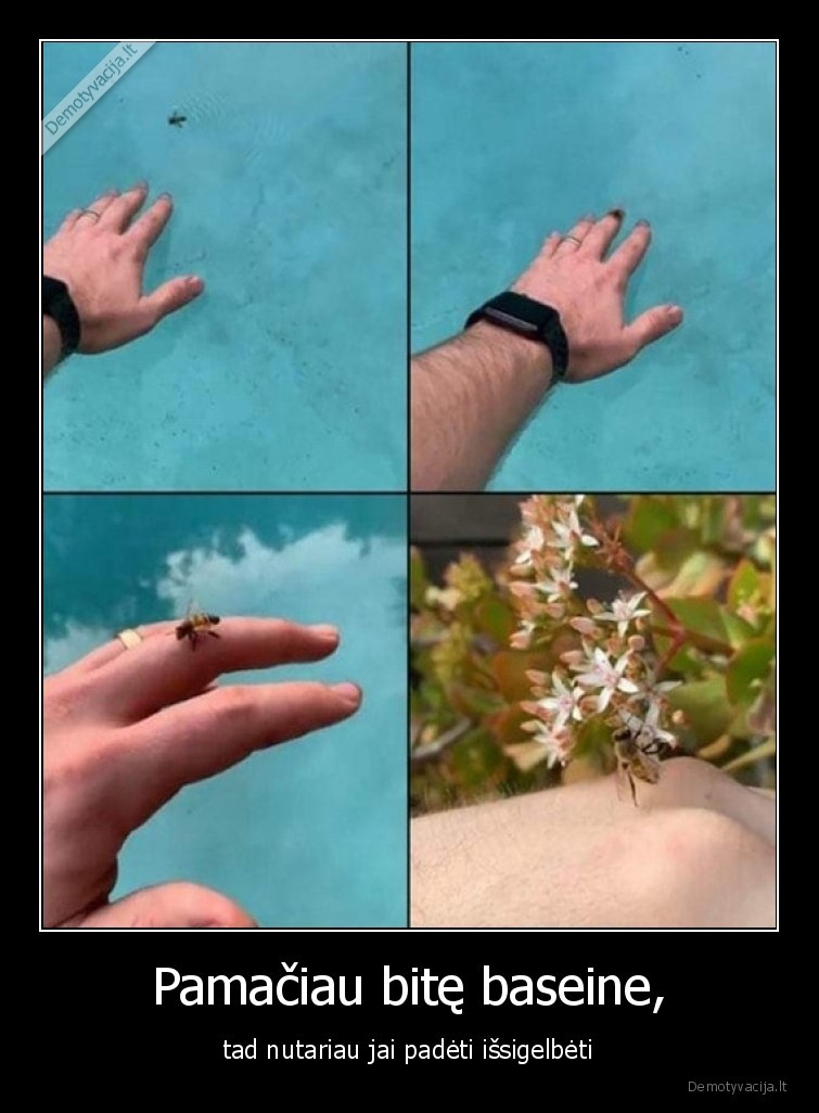 bite,gelbejimo,operacija