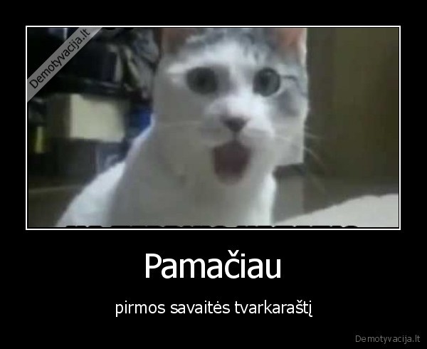 tvarkarastis,pamokos