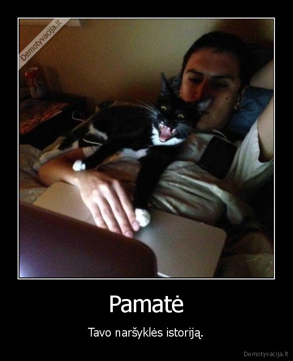 katinas,istorija,narsyti,internetas