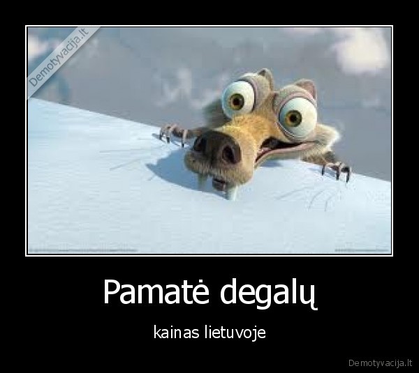 degalai, kaina, mato, lietuva