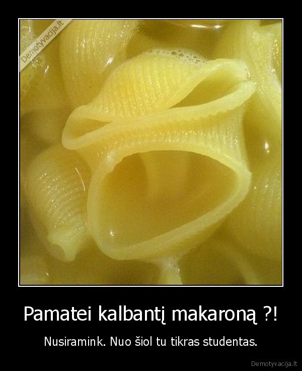 studentai, myli, makaronus